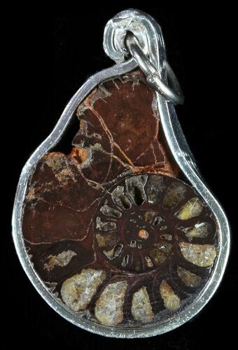 Moroccan Ammonite Fossil Pendant #58404